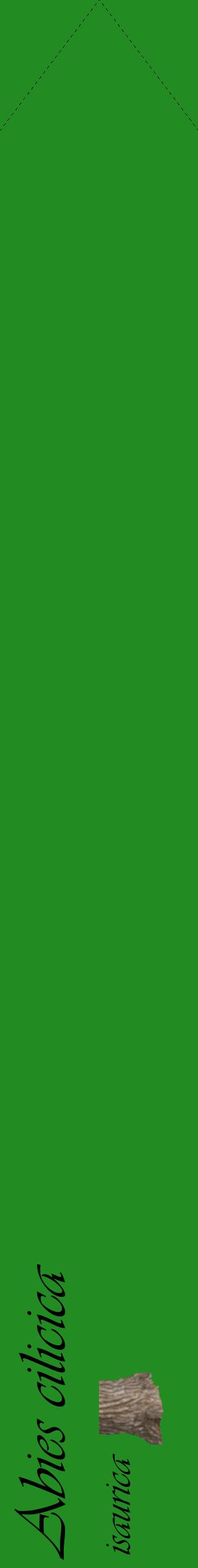 Étiquette de : Abies cilicica isaurica - format c - style noire10_simpleviv avec comestibilité simplifiée