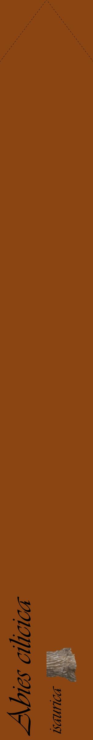 Étiquette de : Abies cilicica isaurica - format c - style noire30_simpleviv avec comestibilité simplifiée