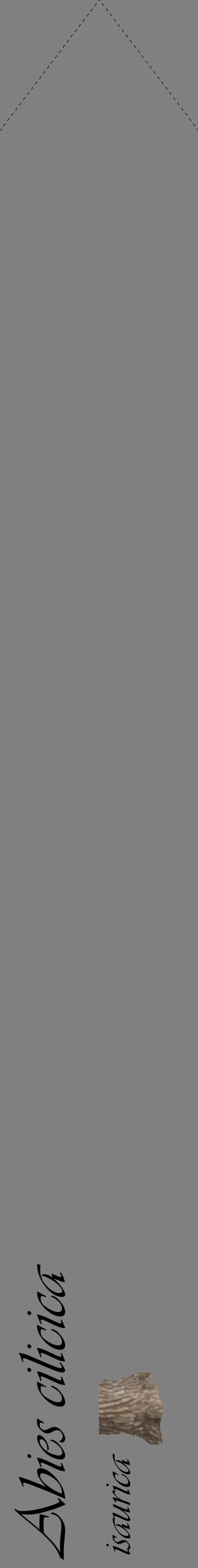 Étiquette de : Abies cilicica isaurica - format c - style noire57_simpleviv avec comestibilité simplifiée