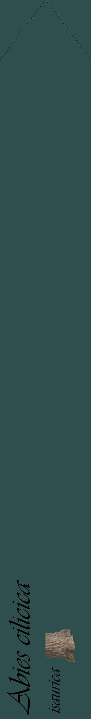 Étiquette de : Abies cilicica isaurica - format c - style noire58_simpleviv avec comestibilité simplifiée