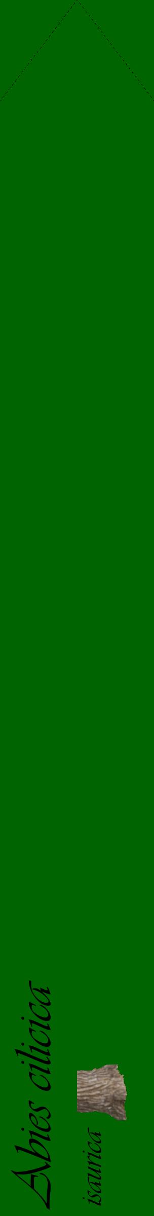 Étiquette de : Abies cilicica isaurica - format c - style noire8_simpleviv avec comestibilité simplifiée