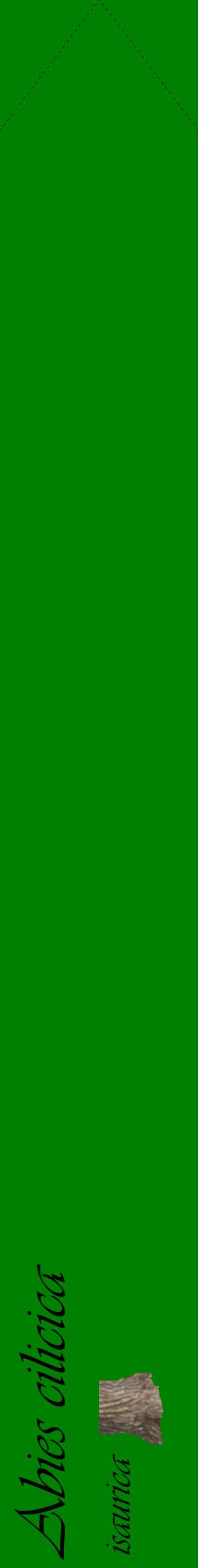 Étiquette de : Abies cilicica isaurica - format c - style noire9_simpleviv avec comestibilité simplifiée
