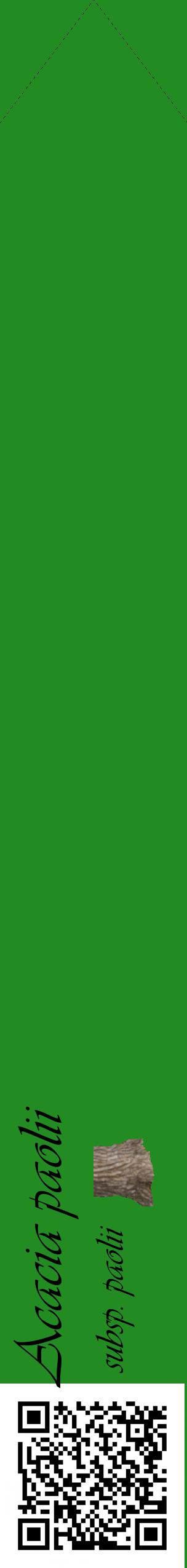Étiquette de : Acacia paolii subsp. paolii - format c - style noire10_simpleviv avec qrcode et comestibilité simplifiée