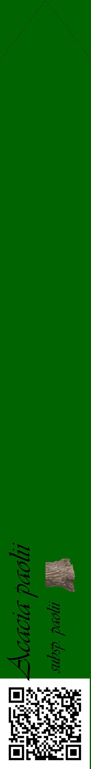 Étiquette de : Acacia paolii subsp. paolii - format c - style noire8_simpleviv avec qrcode et comestibilité simplifiée