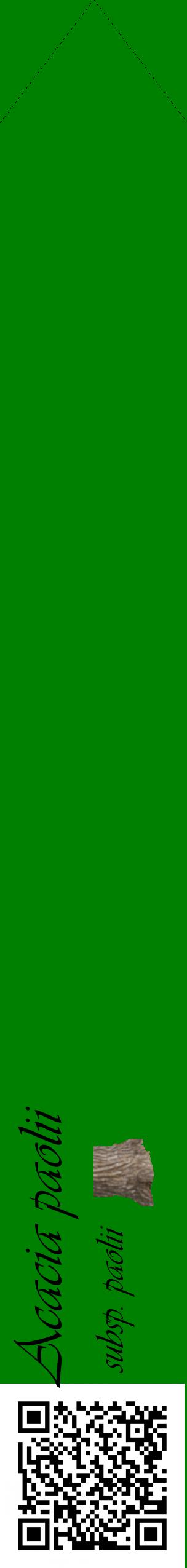 Étiquette de : Acacia paolii subsp. paolii - format c - style noire9_simpleviv avec qrcode et comestibilité simplifiée