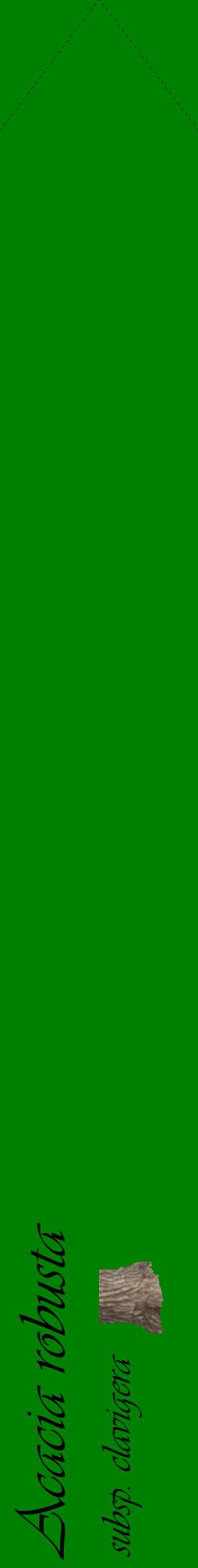 Étiquette de : Acacia robusta subsp. clavigera - format c - style noire9_simpleviv avec comestibilité simplifiée