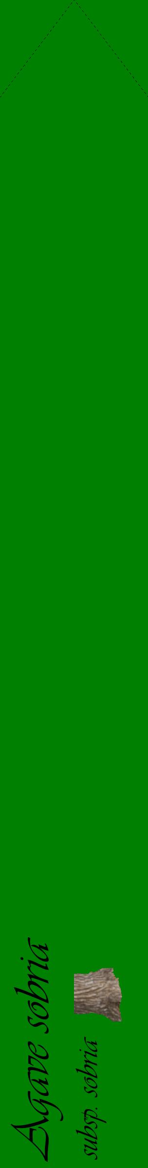 Étiquette de : Agave sobria subsp. sobria - format c - style noire9_simpleviv avec comestibilité simplifiée
