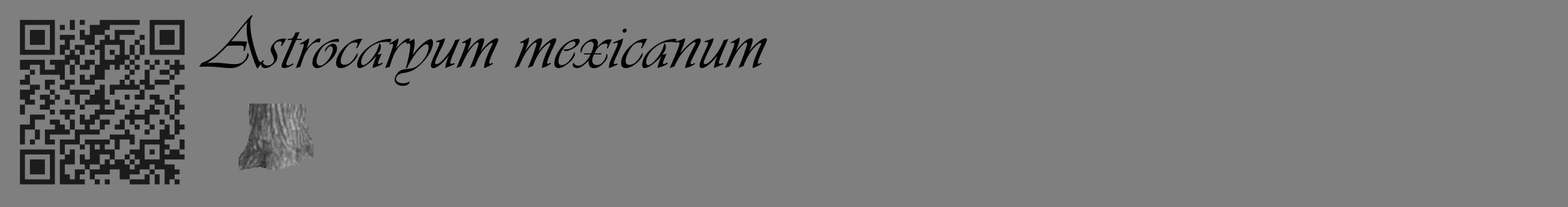 Étiquette de : Astrocaryum mexicanum - format c - style noire57_basique_basiqueviv avec qrcode et comestibilité simplifiée