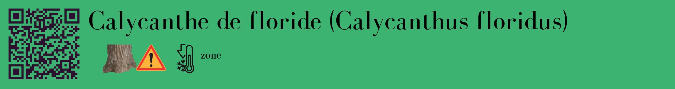 Étiquette de : Calycanthus floridus - format c - style noire12_basique_basiquebod avec qrcode et comestibilité simplifiée