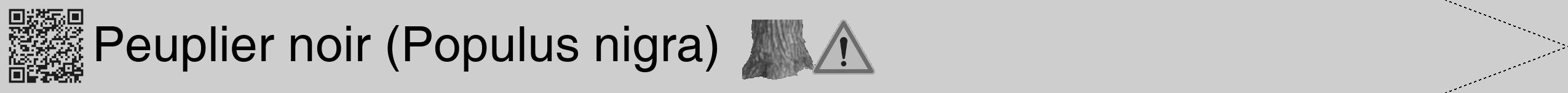 Étiquette de : Populus nigra - format b - style noire17hel avec qrcode et comestibilité simplifiée