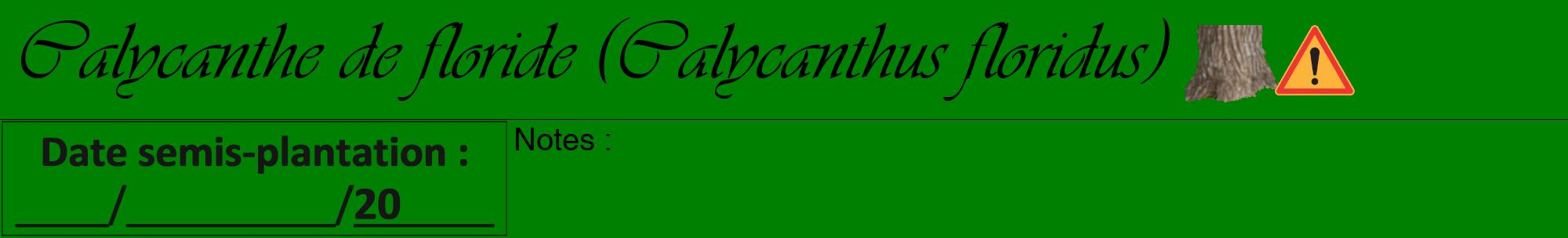 Étiquette de : Calycanthus floridus - format a - style noire9viv avec comestibilité simplifiée