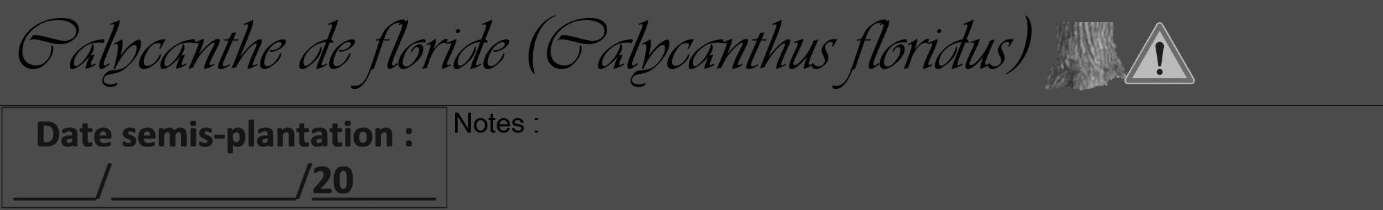 Étiquette de : Calycanthus floridus - format a - style noire9viv avec comestibilité simplifiée