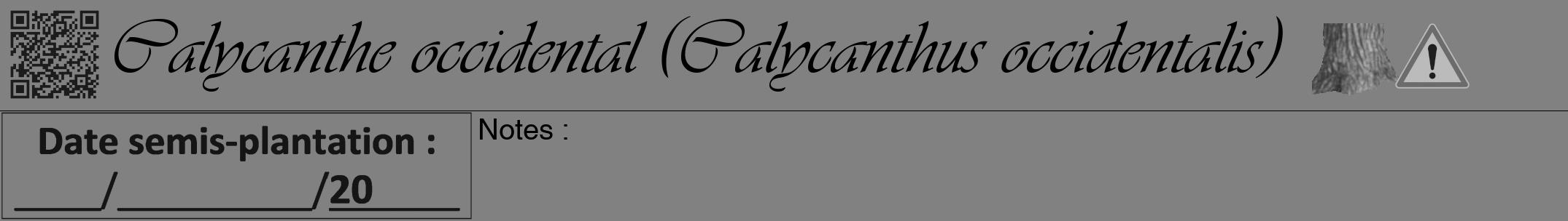 Étiquette de : Calycanthus occidentalis - format a - style noire50viv avec qrcode et comestibilité simplifiée