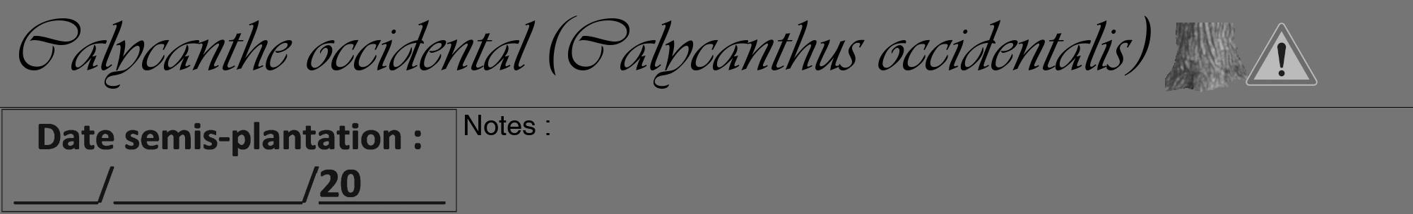 Étiquette de : Calycanthus occidentalis - format a - style noire5viv avec comestibilité simplifiée