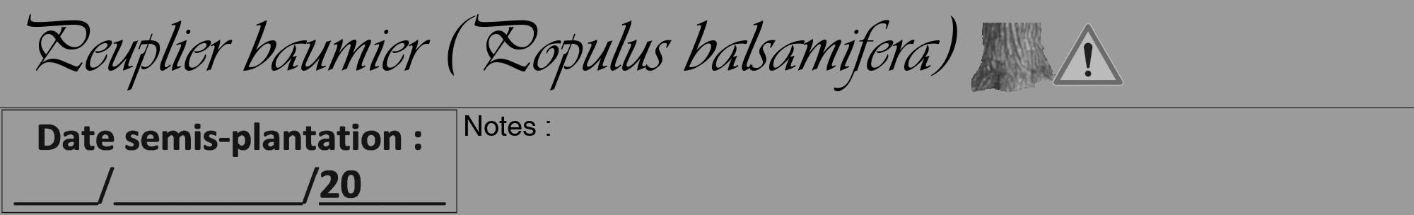 Étiquette de : Populus balsamifera - format a - style noire52viv avec comestibilité simplifiée