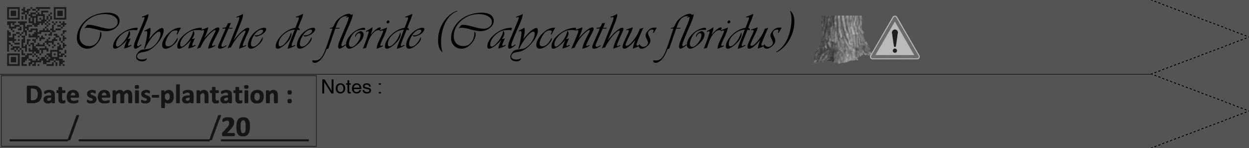Étiquette de : Calycanthus floridus - format b - style noire30simpleviv avec qrcode et comestibilité simplifiée