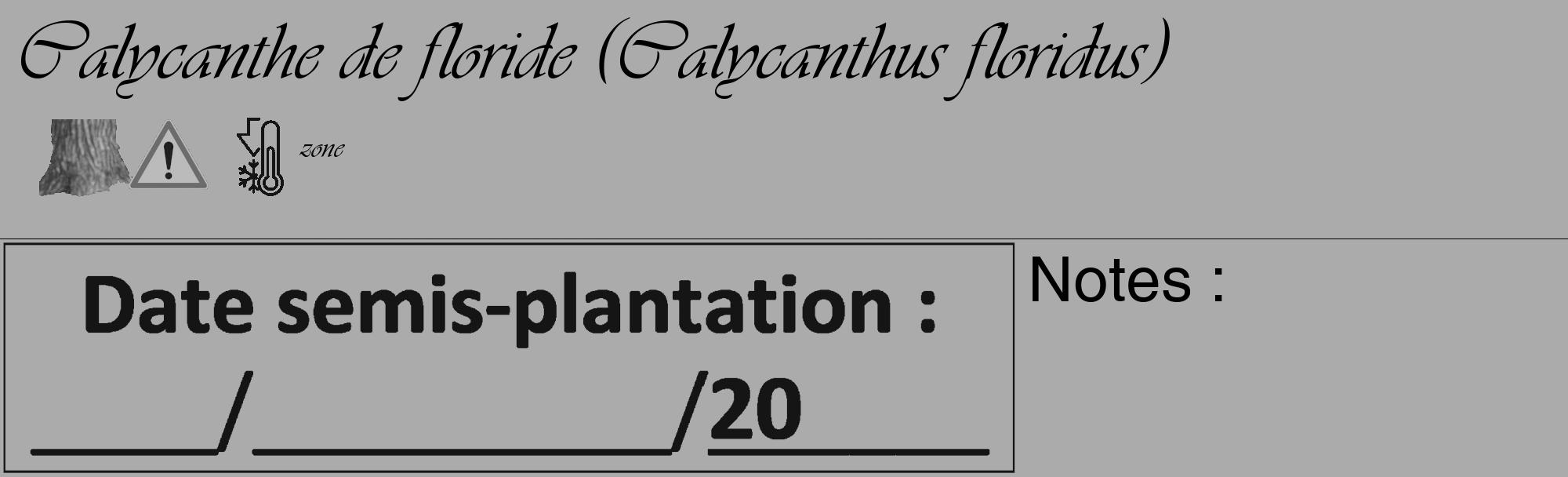 Étiquette de : Calycanthus floridus - format c - style noire37_basique_basiqueviv avec comestibilité simplifiée