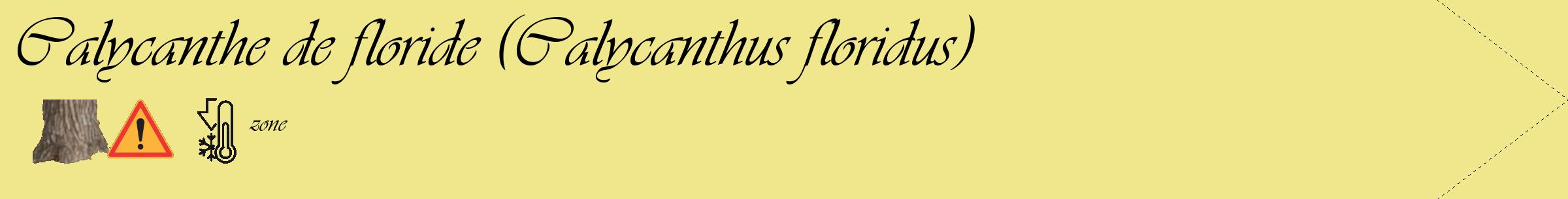Étiquette de : Calycanthus floridus - format c - style noire20_simple_simpleviv avec comestibilité simplifiée