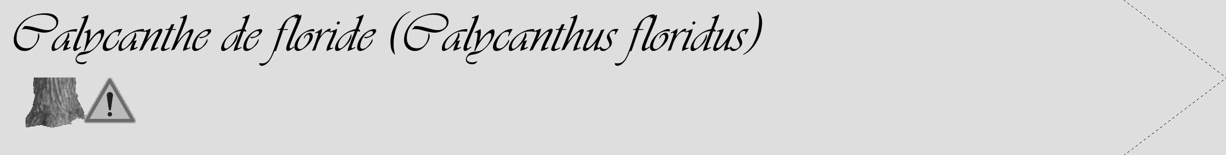 Étiquette de : Calycanthus floridus - format c - style noire20_simple_simpleviv avec comestibilité simplifiée