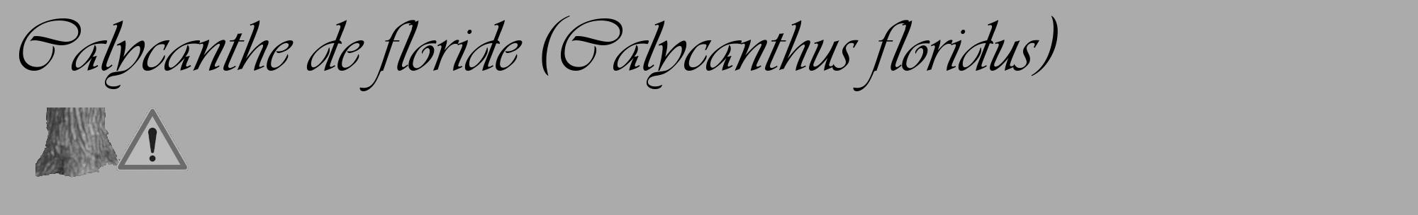 Étiquette de : Calycanthus floridus - format c - style noire37_basique_basiqueviv avec comestibilité simplifiée