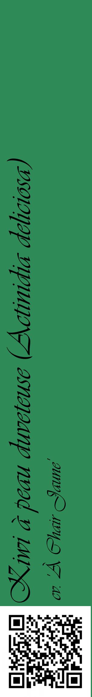 Étiquette de : Actinidia deliciosa cv. 'À Chair Jaune' - format c - style noire11_basiqueviv avec qrcode et comestibilité