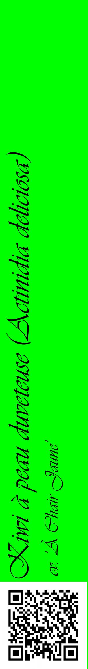 Étiquette de : Actinidia deliciosa cv. 'À Chair Jaune' - format c - style noire16_basiqueviv avec qrcode et comestibilité