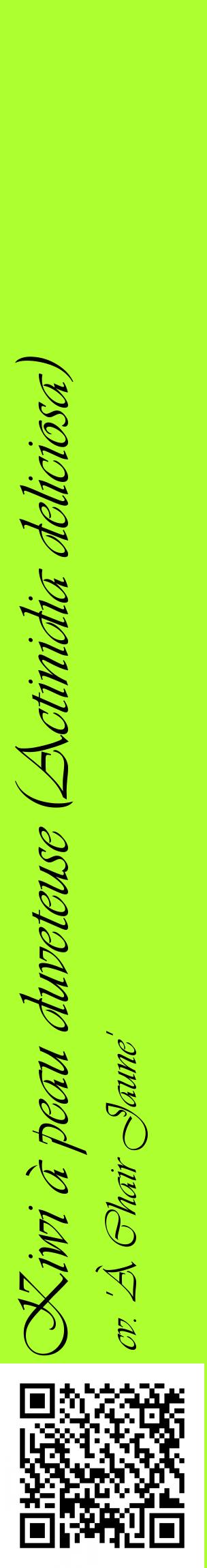 Étiquette de : Actinidia deliciosa cv. 'À Chair Jaune' - format c - style noire17_basiqueviv avec qrcode et comestibilité
