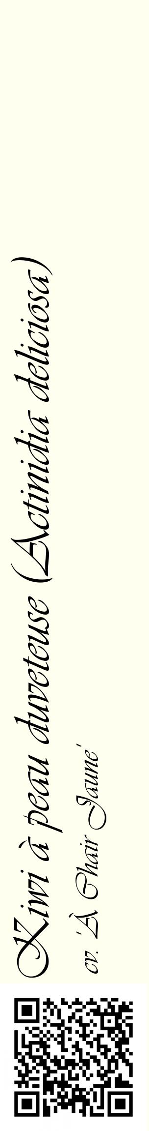 Étiquette de : Actinidia deliciosa cv. 'À Chair Jaune' - format c - style noire19_basiqueviv avec qrcode et comestibilité