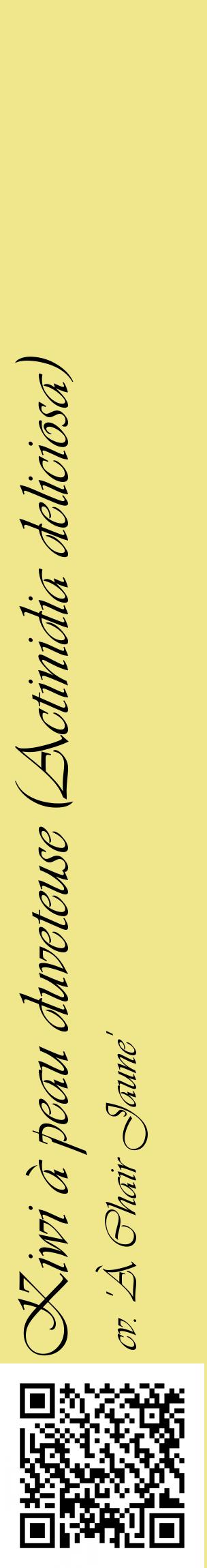 Étiquette de : Actinidia deliciosa cv. 'À Chair Jaune' - format c - style noire20_basiqueviv avec qrcode et comestibilité