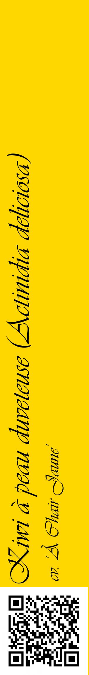 Étiquette de : Actinidia deliciosa cv. 'À Chair Jaune' - format c - style noire21_basiqueviv avec qrcode et comestibilité