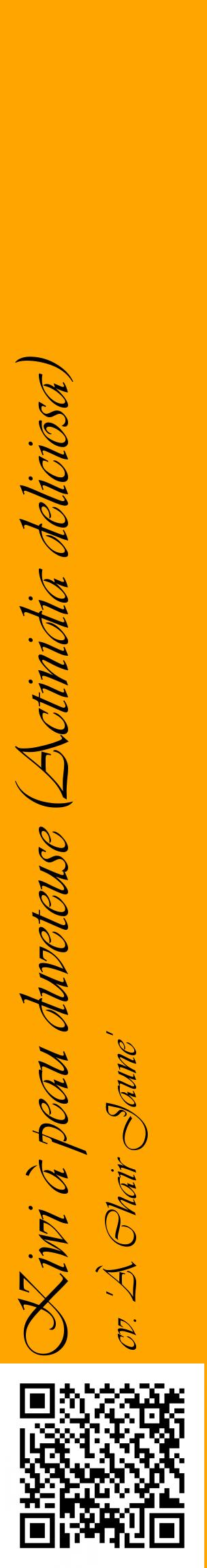 Étiquette de : Actinidia deliciosa cv. 'À Chair Jaune' - format c - style noire22_basiqueviv avec qrcode et comestibilité