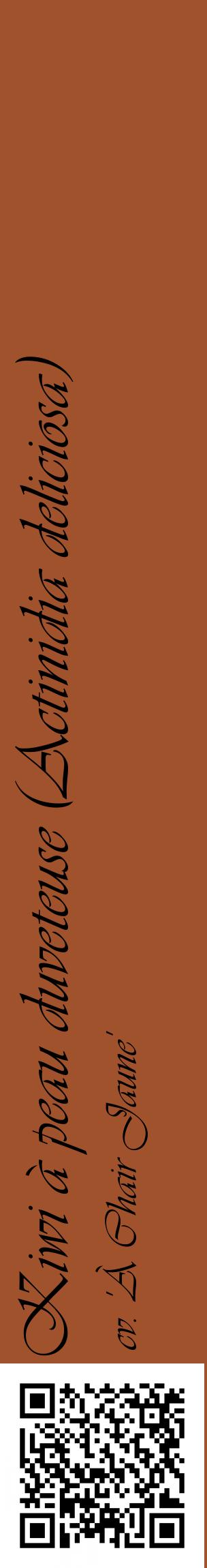 Étiquette de : Actinidia deliciosa cv. 'À Chair Jaune' - format c - style noire32_basiqueviv avec qrcode et comestibilité