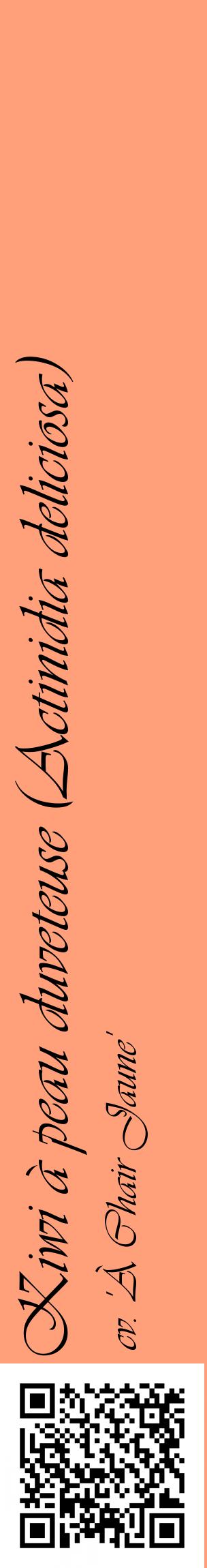 Étiquette de : Actinidia deliciosa cv. 'À Chair Jaune' - format c - style noire39_basiqueviv avec qrcode et comestibilité