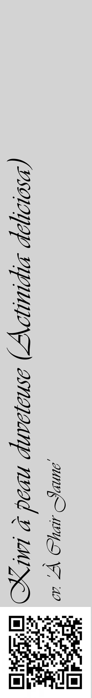 Étiquette de : Actinidia deliciosa cv. 'À Chair Jaune' - format c - style noire56_basiqueviv avec qrcode et comestibilité