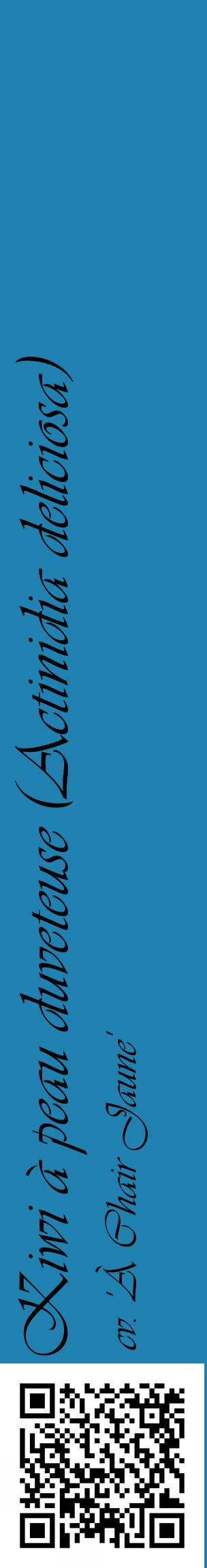 Étiquette de : Actinidia deliciosa cv. 'À Chair Jaune' - format c - style noire6_basiqueviv avec qrcode et comestibilité