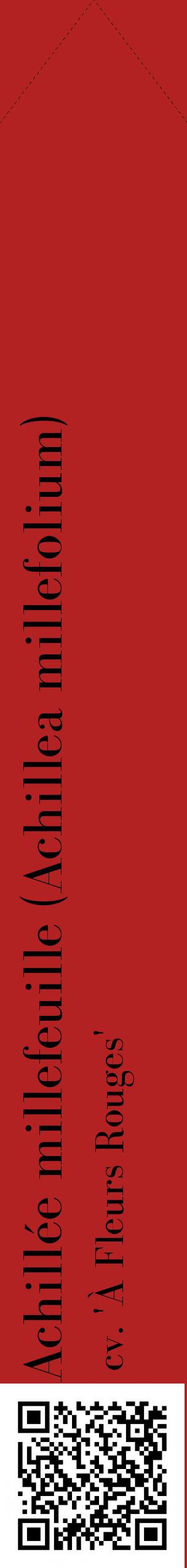 Étiquette de : Achillea millefolium cv. 'À Fleurs Rouges' - format c - style noire28_simplebod avec qrcode et comestibilité