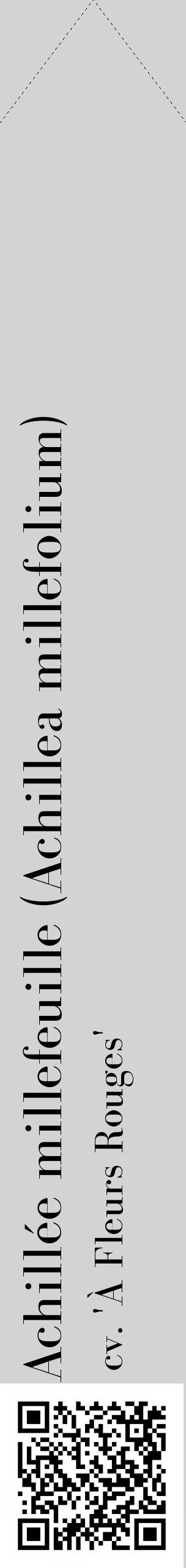 Étiquette de : Achillea millefolium cv. 'À Fleurs Rouges' - format c - style noire56_simplebod avec qrcode et comestibilité