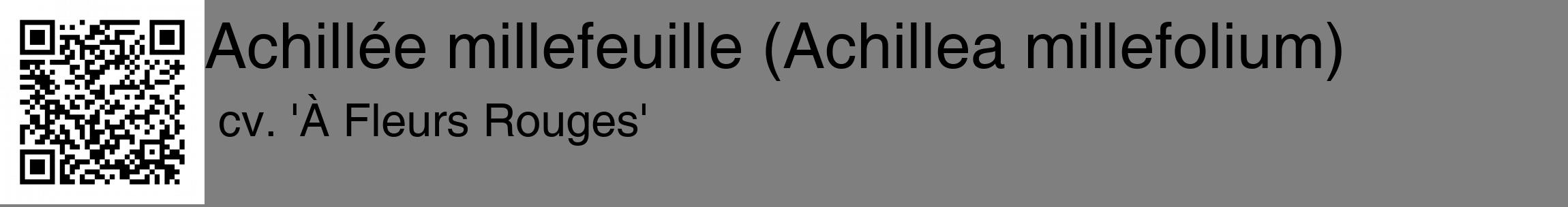 Étiquette de : Achillea millefolium cv. 'À Fleurs Rouges' - format c - style noire31_basique_basiquehel avec qrcode et comestibilité