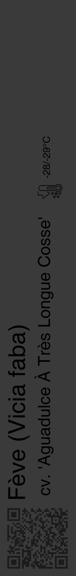 Étiquette de : Vicia faba cv. 'Aguadulce À Très Longue Cosse' - format c - style noire8_basique_basiquehel avec qrcode et comestibilité - position verticale
