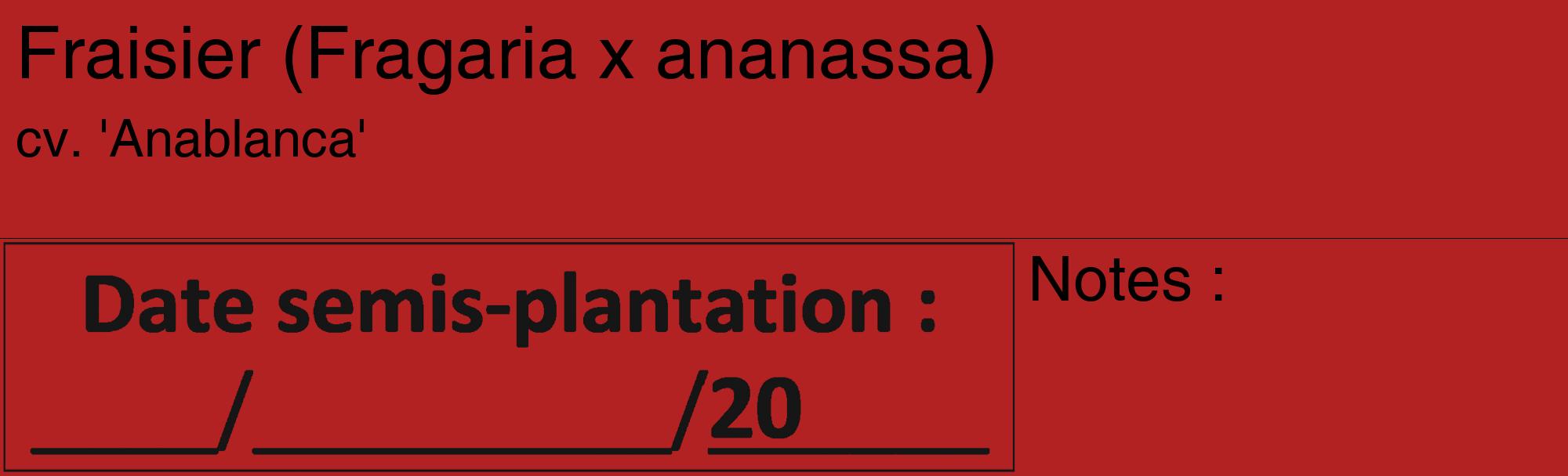 Étiquette de : Fragaria x ananassa cv. 'Anablanca' - format c - style noire28_basique_basiquehel avec comestibilité
