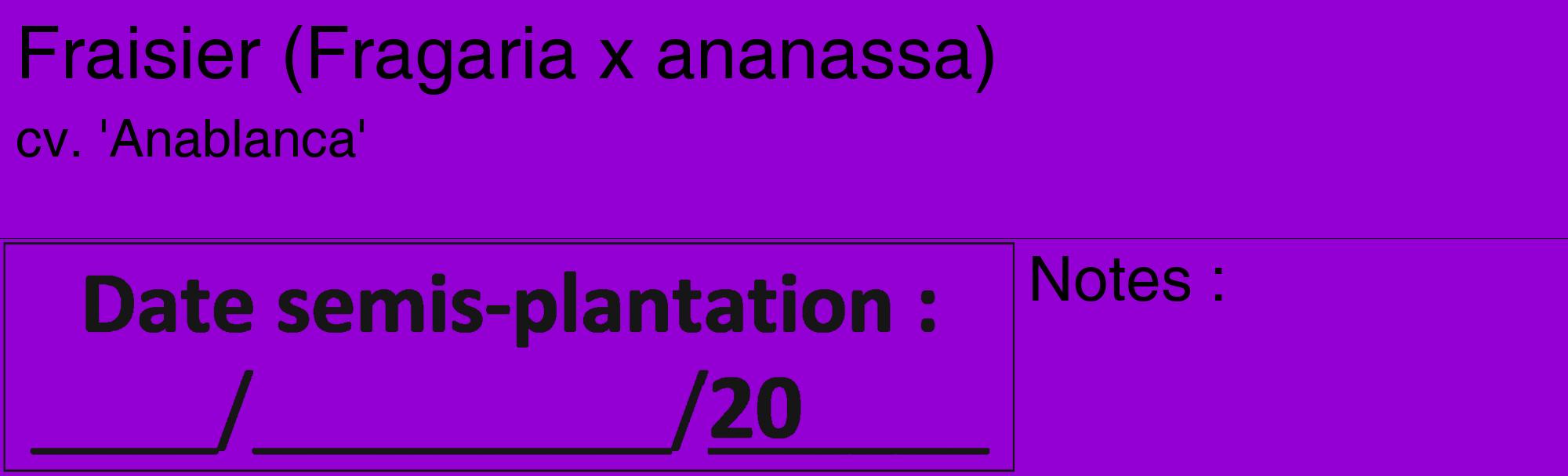 Étiquette de : Fragaria x ananassa cv. 'Anablanca' - format c - style noire48_basique_basiquehel avec comestibilité