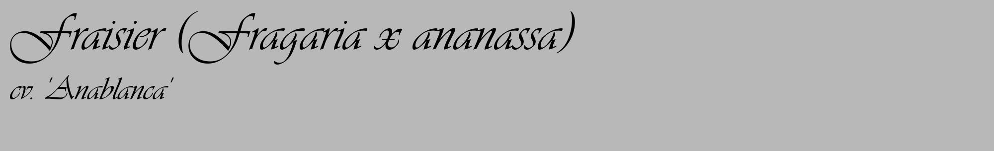 Étiquette de : Fragaria x ananassa cv. 'Anablanca' - format c - style noire39_basique_basiqueviv avec comestibilité