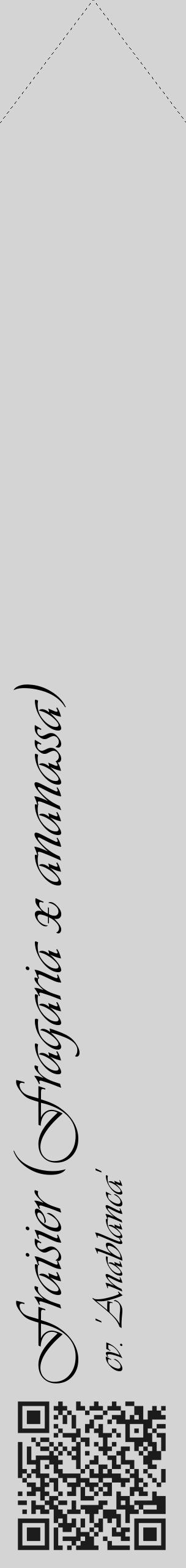 Étiquette de : Fragaria x ananassa cv. 'Anablanca' - format c - style noire40_simple_simpleviv avec qrcode et comestibilité - position verticale