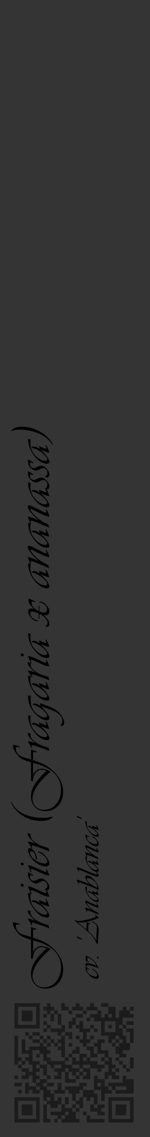 Étiquette de : Fragaria x ananassa cv. 'Anablanca' - format c - style noire46_basique_basiqueviv avec qrcode et comestibilité - position verticale