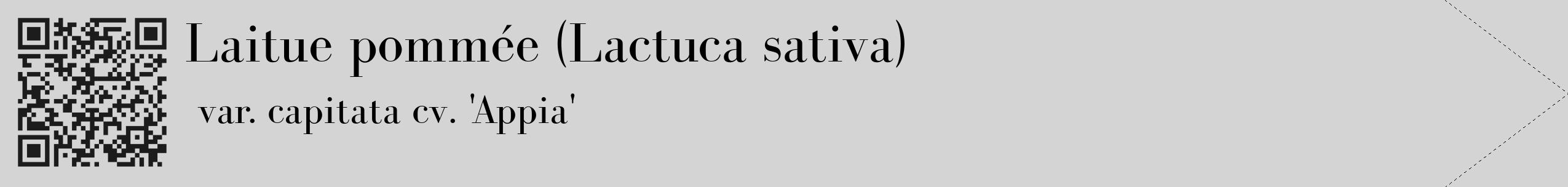 Étiquette de : Lactuca sativa var. capitata cv. 'Appia' - format c - style noire40_simple_simplebod avec qrcode et comestibilité