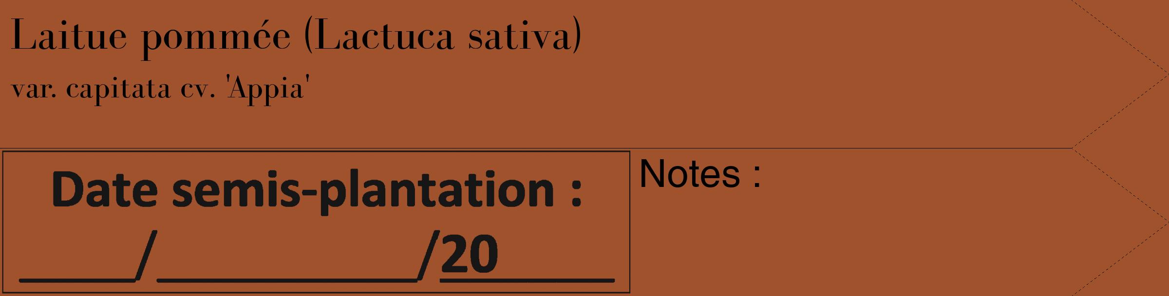 Étiquette de : Lactuca sativa var. capitata cv. 'Appia' - format c - style noire32_simple_simplebod avec comestibilité
