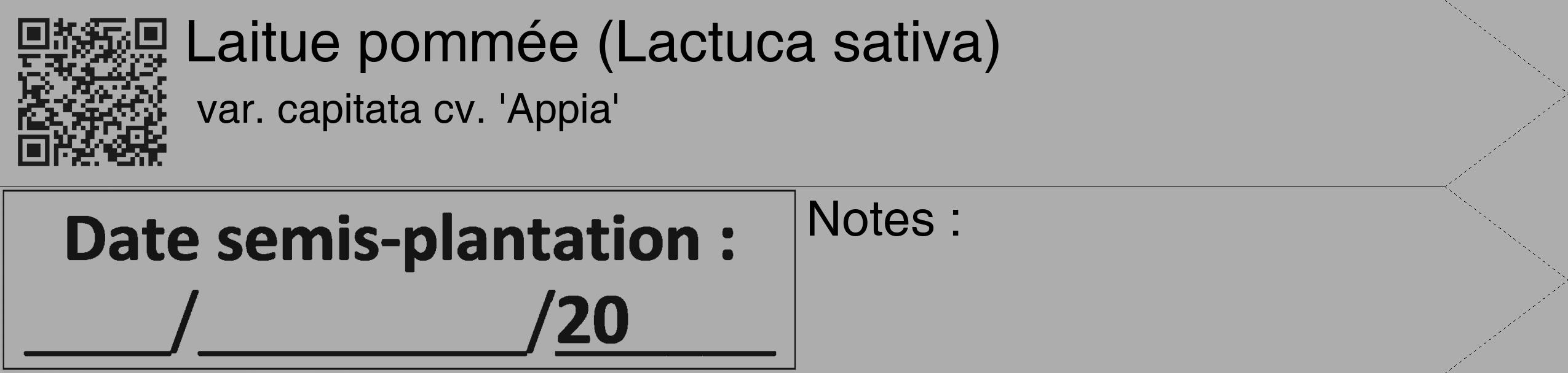 Étiquette de : Lactuca sativa var. capitata cv. 'Appia' - format c - style noire22_simple_simplehel avec qrcode et comestibilité