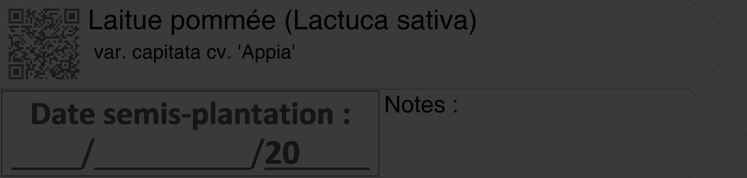 Étiquette de : Lactuca sativa var. capitata cv. 'Appia' - format c - style noire8_simple_simplehel avec qrcode et comestibilité