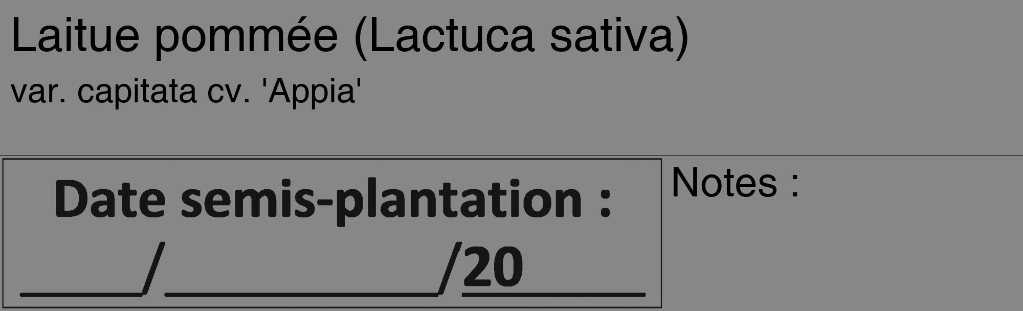 Étiquette de : Lactuca sativa var. capitata cv. 'Appia' - format c - style noire12_basique_basiquehel avec comestibilité