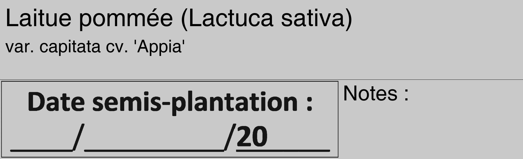 Étiquette de : Lactuca sativa var. capitata cv. 'Appia' - format c - style noire54_basique_basiquehel avec comestibilité